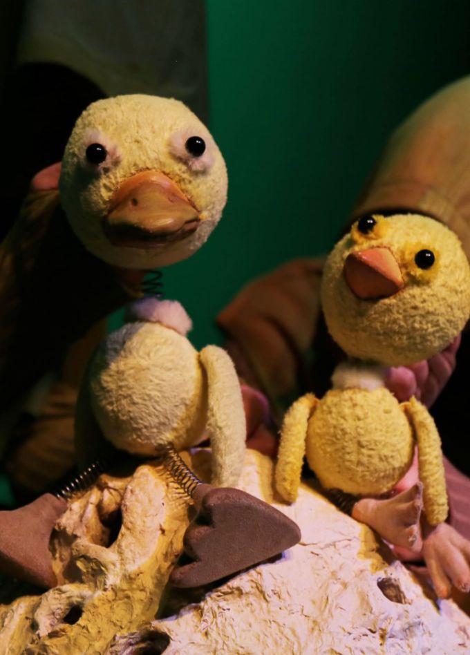 Цыплёнок и утёнок