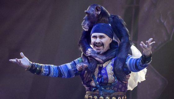Цирк на воде «Царство фонтанов»