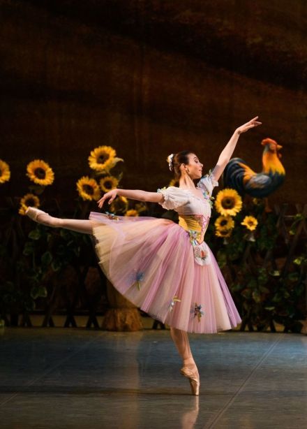 Балет «Тщетная предосторожность»