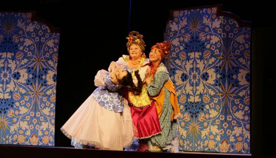 Спектакль «Не в свои сани не садись»