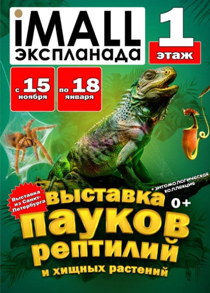 Выставка пауков, рептилий