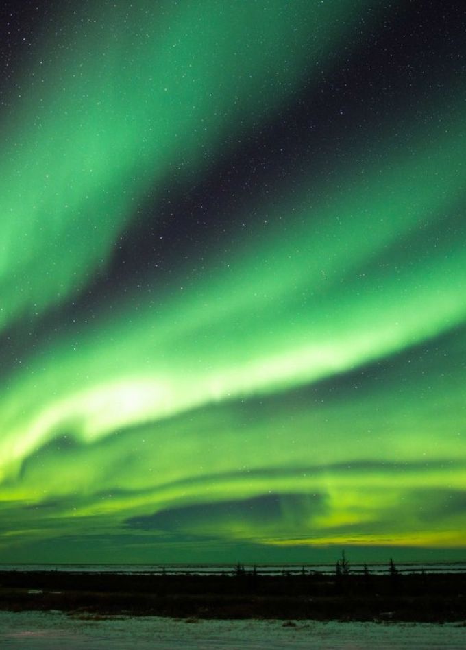 Приключения Хрумки в зимнем лесу