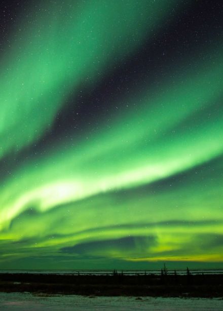 Приключения Хрумки в зимнем лесу