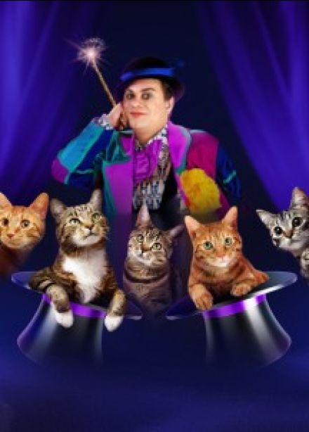 Владимир Куклачёв. Волшебные кошки