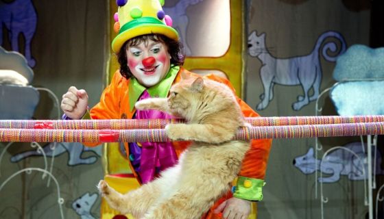 Владимир Куклачёв. Волшебные кошки