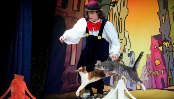 Владимир Куклачёв. Волшебные кошки