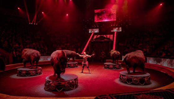 Цирк Гии Эрадзе «Пять континентов»