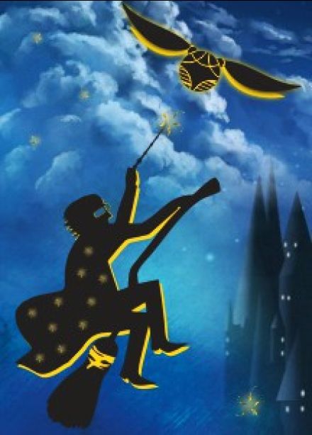 Концерт «Симфония "Гарри Поттер"»