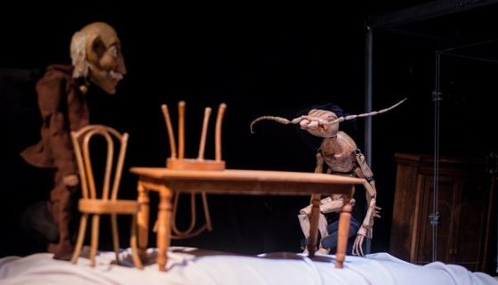 Спектакль «Превращение»