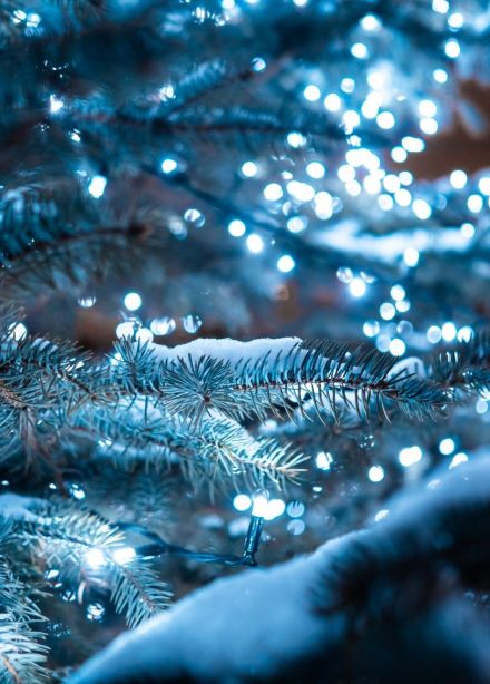 Спектакль «Ёлка. Сказка. Чудеса!»