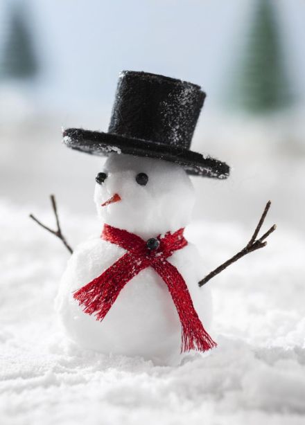 Фантастическое крио-шоу чудес