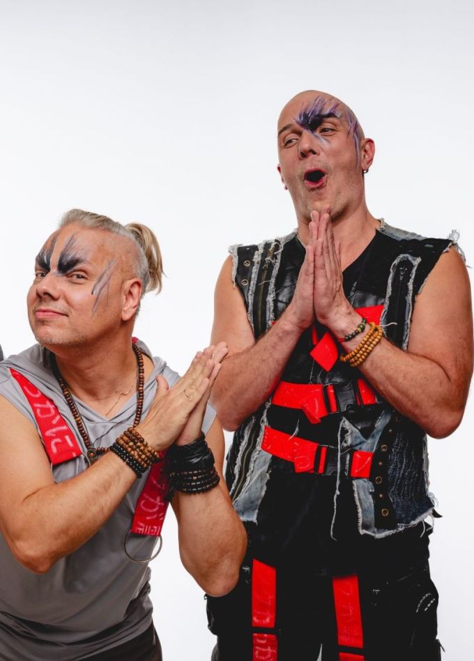 Скворцы Степанова