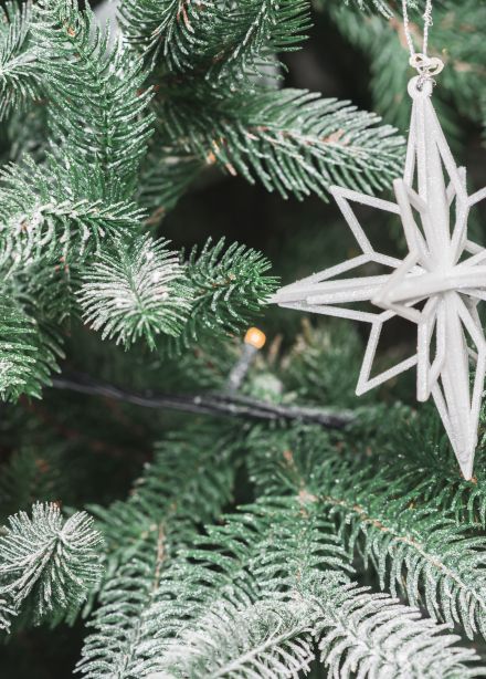 По следам Нового года