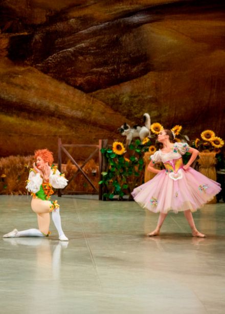 Тщетная предосторожность