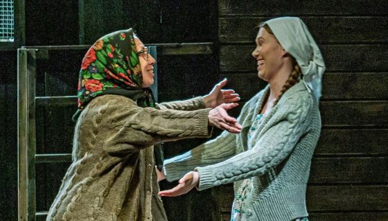 Спектакль «Любовь и голуби»