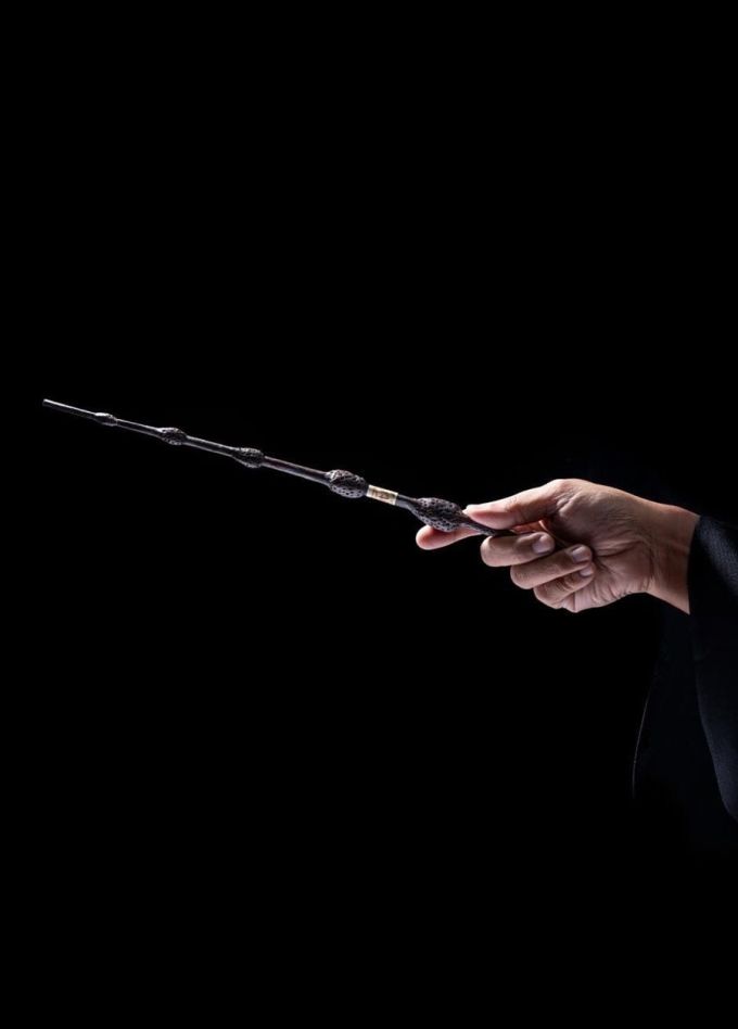 Оркестр Sonorus. Гарри Поттер