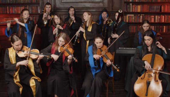 Оркестр Sonorus. Гарри Поттер