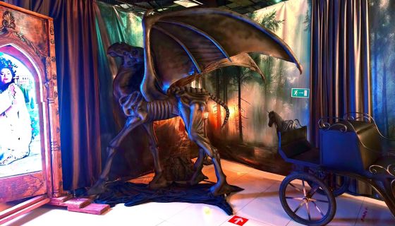 Выставка «Вселенная Гарри Поттера»