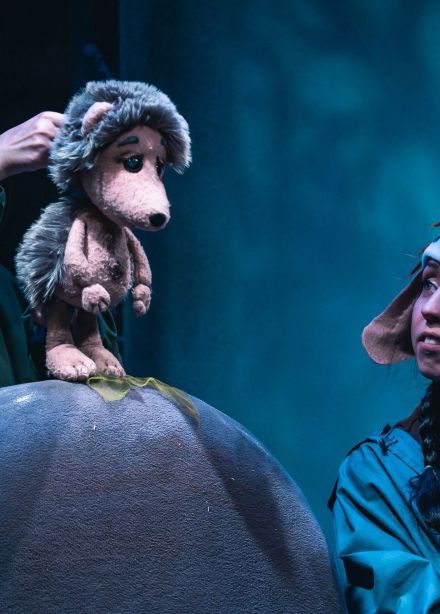 Ёжикина гора