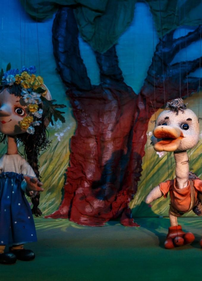 Гусёнок Дорофей