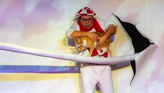 Дмитрий Куклачёв. Котобум